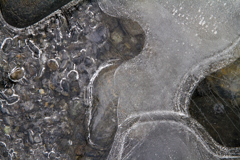 River Rocks Encased In Ice